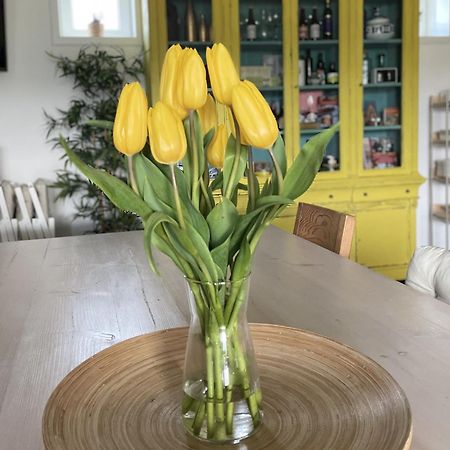مبيت وإفطار Casa Acougo, ساريا المظهر الخارجي الصورة